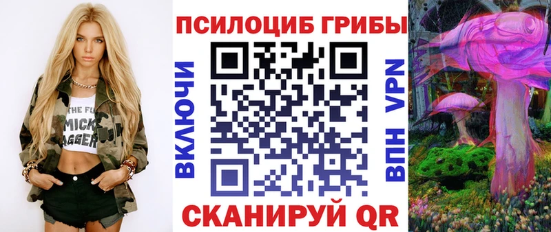 Купить  Кашира  Псилоцибиновые грибы Cubensis 